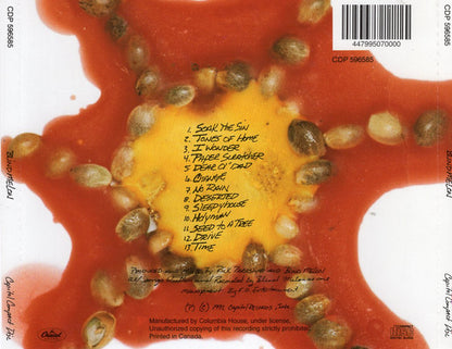 Blind Melon : Blind Melon (CD, Album, Club)