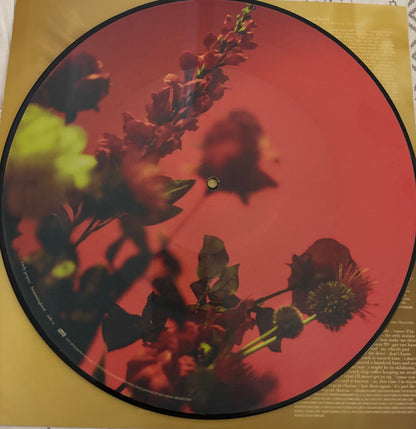 Carly Pearce : Hummingbird (2xLP, Pic)