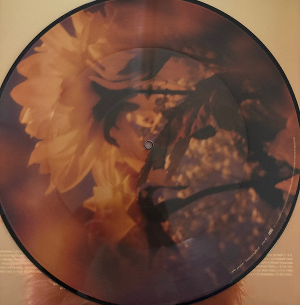 Carly Pearce : Hummingbird (2xLP, Pic)