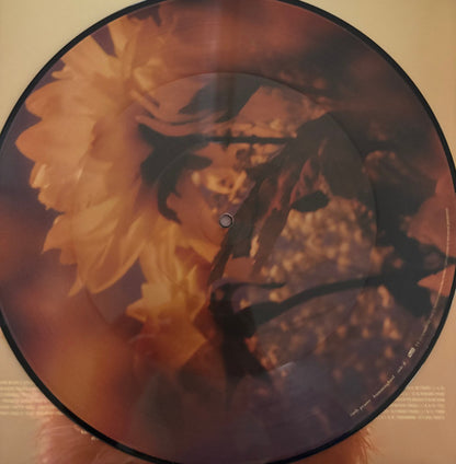 Carly Pearce : Hummingbird (2xLP, Pic)