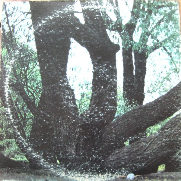 Fat Mattress : Fat Mattress (LP, Album, MO-)