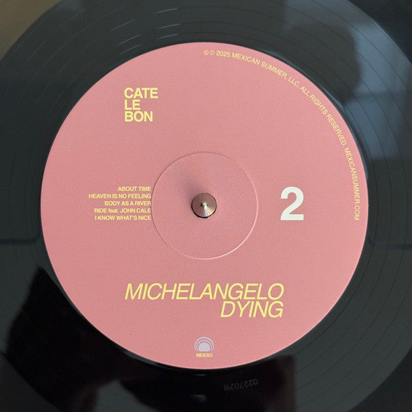 Cate Le Bon : Michelangelo Dying (LP, Album)