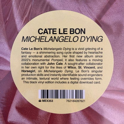 Cate Le Bon : Michelangelo Dying (LP, Album)