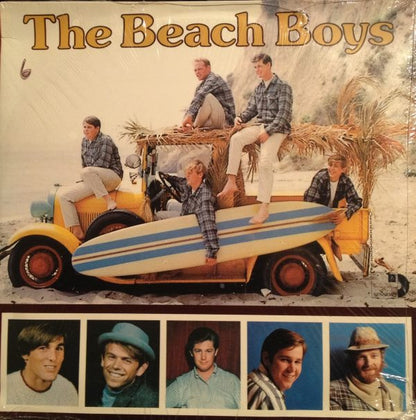 The Beach Boys : The Beach Boys (2xLP, Comp)