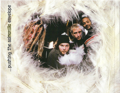 Jimmie's Chicken Shack : Pushing The Salmanilla Envelope (CD, Album)