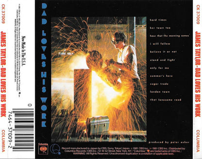 James Taylor (2) : Dad Loves His Work (CD, Album)