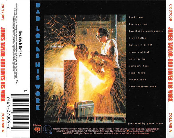 James Taylor (2) : Dad Loves His Work (CD, Album)