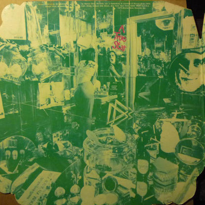 Todd Rundgren : A Wizard, A True Star (LP, Album, Die)