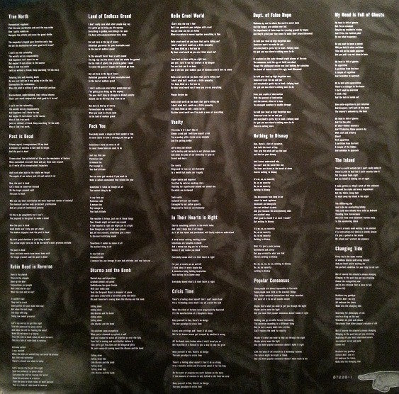 Bad Religion : True North (LP, Album + CD, Album)
