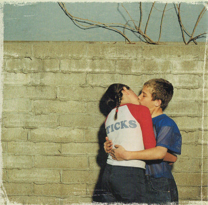 New Found Glory : Sticks And Stones (CD, Album, Club)