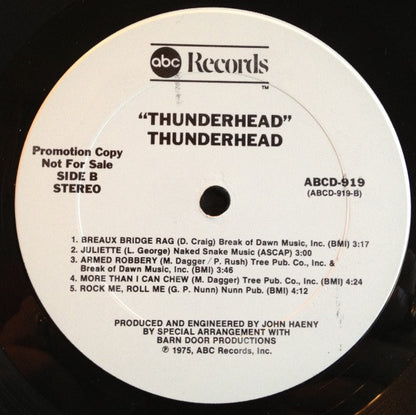 Thunderhead (5) : Thunderhead (LP, Promo)