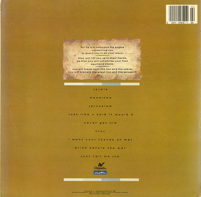 Sinéad O'Connor : The Lion And The Cobra (LP, Album, Car)