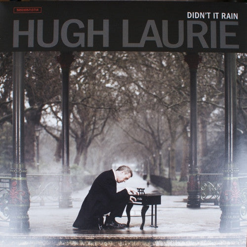 Hugh Laurie : Didn't It Rain (2xLP, Album)