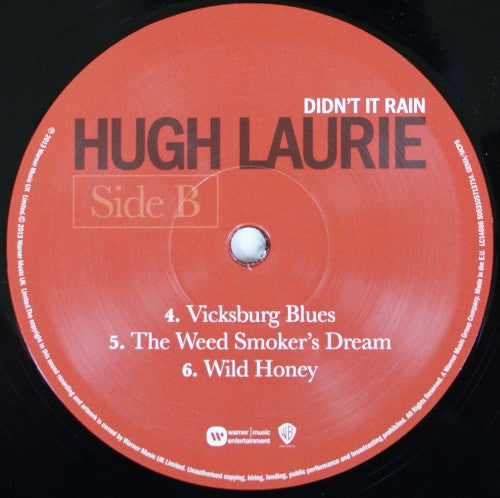 Hugh Laurie : Didn't It Rain (2xLP, Album)