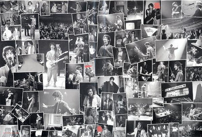 Frank Zappa : An Evening With Frank Zappa During Which...The Torture Never Stops (DVD-V, NTSC)