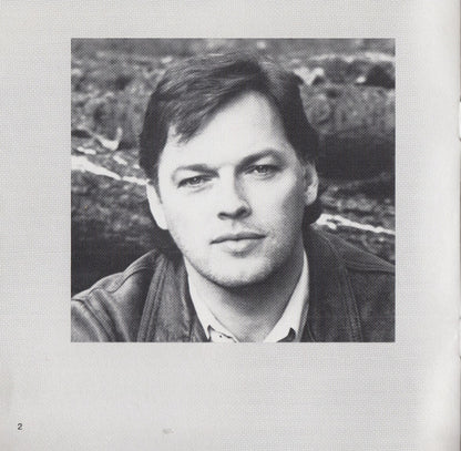 David Gilmour : About Face (CD, Album, RE, RP, DAD)
