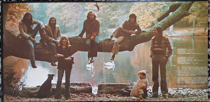 Fleetwood Mac : Penguin (LP, Album, RP, Gol)