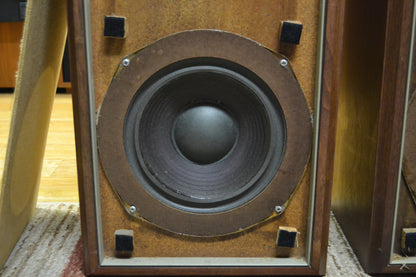 Advent The Advent LoudSpeaker * Fried Egg * Refoamed 6/26 *