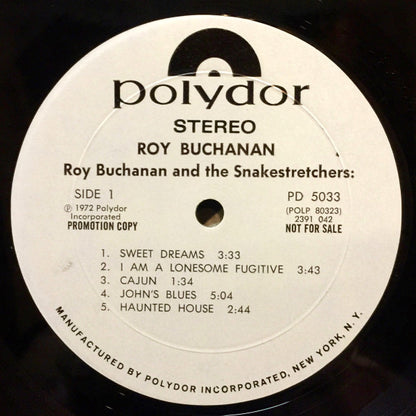 Roy Buchanan And The Snakestretchers* : Roy Buchanan (LP, Album, Promo, Mon)