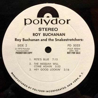 Roy Buchanan And The Snakestretchers* : Roy Buchanan (LP, Album, Promo, Mon)