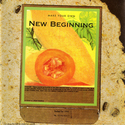 Tracy Chapman : New Beginning (CD, Album)