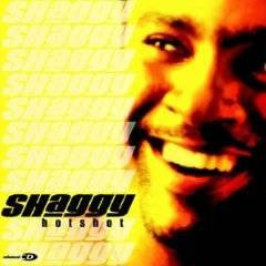 Shaggy : Hot Shot (CD, Album, Club, Enh)