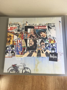 The Beatles Anthology Laserdisc Box Set (VG+ Cond)