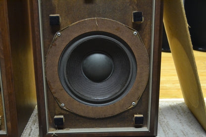Advent The Advent LoudSpeaker * Fried Egg * Refoamed 6/26 *