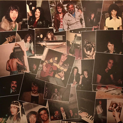 Peter Frampton : I'm In You (LP, Album, Promo, Mon)