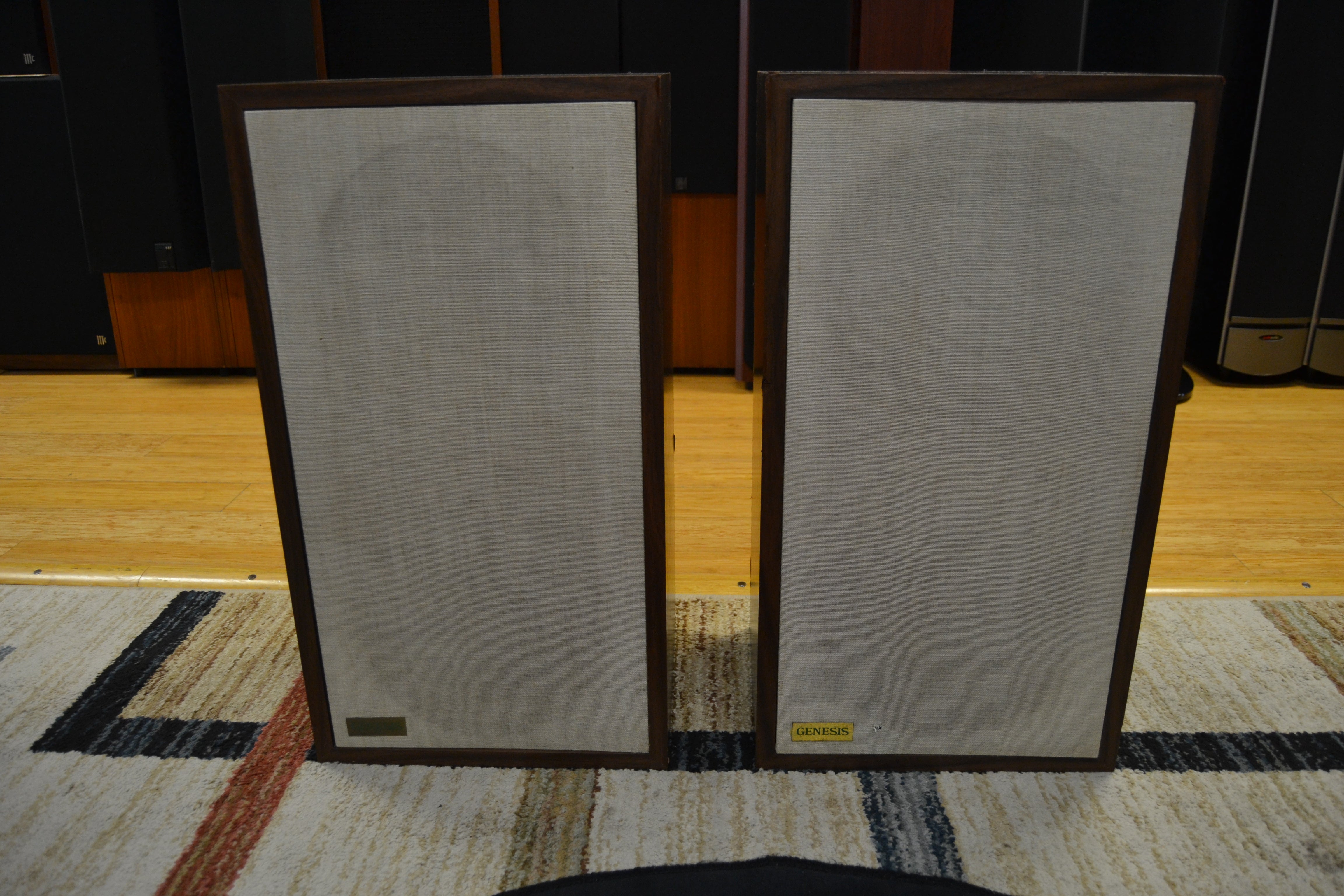 Genesis Physics Model II Floor Standing Speakers * New Foams 7/26 * Fully Serviced