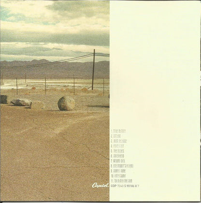 Jane's Addiction : Strays (CD, Album, Enh)