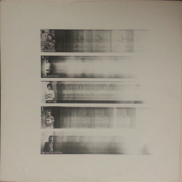 Robert Plant : The Principle Of Moments (LP, Album, RE, Spe)