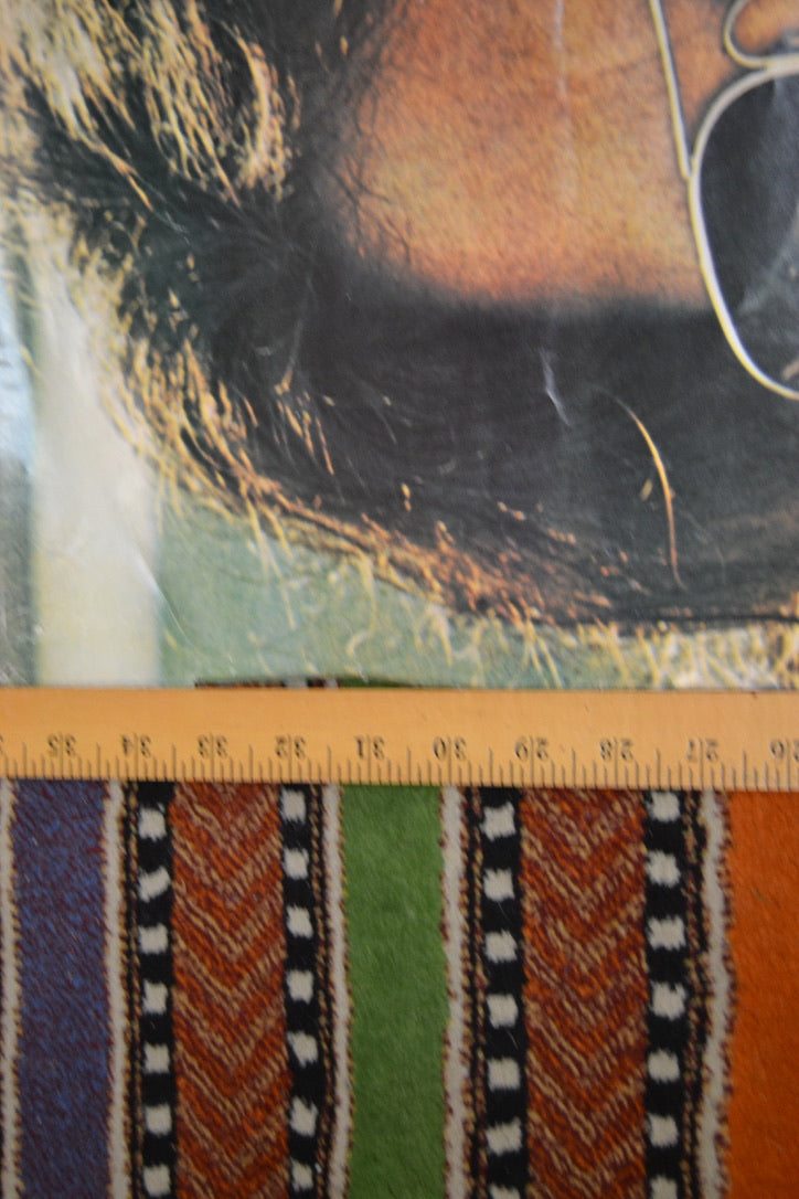 Jim Morrison Sunglasses Poster 23x36 inch