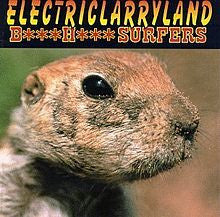 Butthole Surfers : Electriclarryland (CD, Album)
