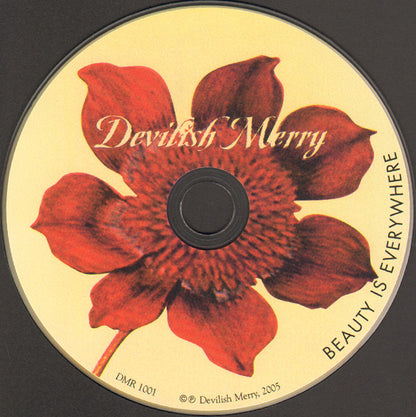 Devilish Merry : Beauty Is Everywhere (CD, Album)