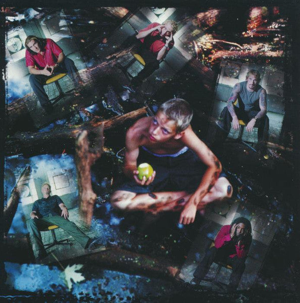 Sevendust : Animosity (CD, Album, WMO)