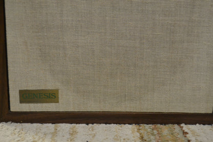 Genesis Physics Model II Floor Standing Speakers * New Foams 7/26 * Fully Serviced