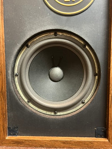 Epicure EPI 100V Speakers * New Foams 10/2026 * Original Box