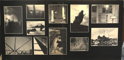 Pink Floyd : Animals (LP, Album, RP, Gat)