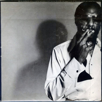 Richie Havens : The End Of The Beginning (LP, Album)