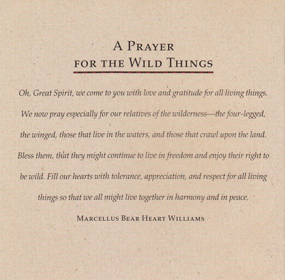 Paul Winter (2) : Prayer For The Wild Things (CD, Album)