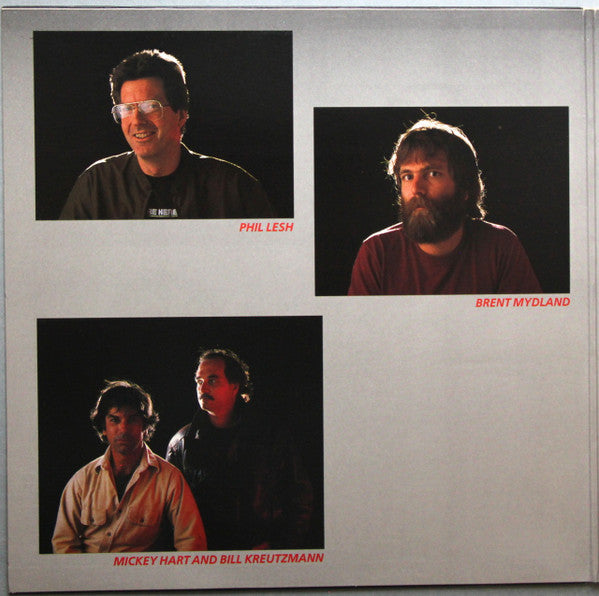 The Grateful Dead : In The Dark (LP, Album, Alt)