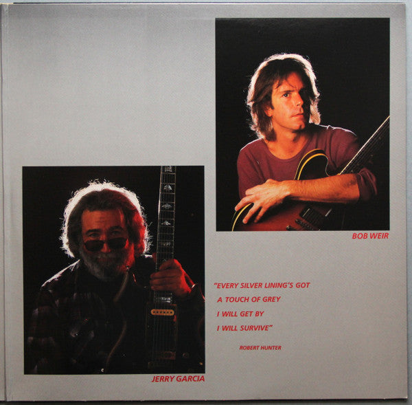 The Grateful Dead : In The Dark (LP, Album, Alt)