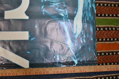 Mick Jagger Wandering Spirit US Promo Poster 30x22 inch