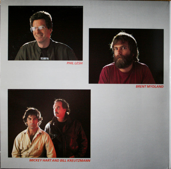 Grateful Dead* : In The Dark (LP, Album, Club, Gat)