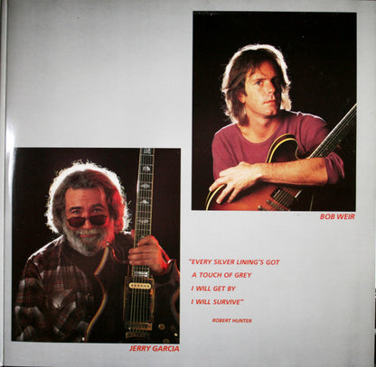 Grateful Dead* : In The Dark (LP, Album, Club, Gat)