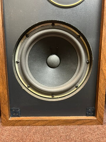 Epicure EPI 100V Speakers * New Foams 10/2026 * Original Box