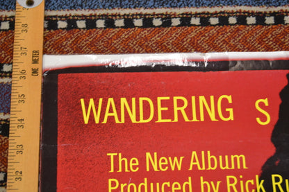 Mick Jagger Spirit Poster 24x36 inch