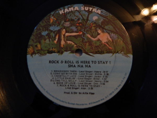 Sha Na Na : Rock & Roll Is Here To Stay (LP, Gat)