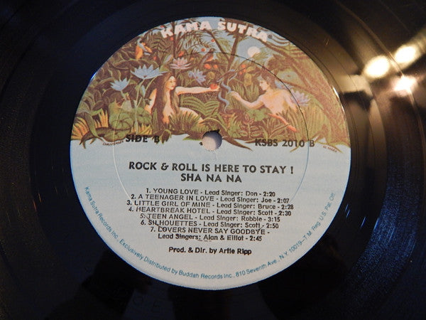 Sha Na Na : Rock & Roll Is Here To Stay (LP, Gat)